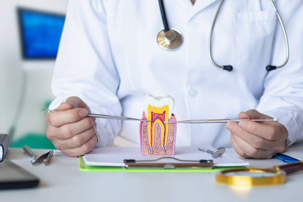 Best Emergency Treatment for Oral Infections in Annandale, MN